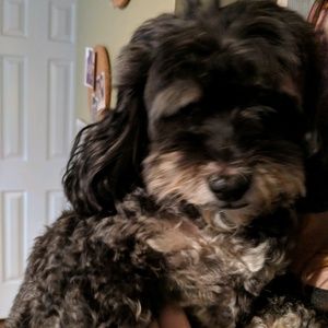 Meet your Posher, Mandy